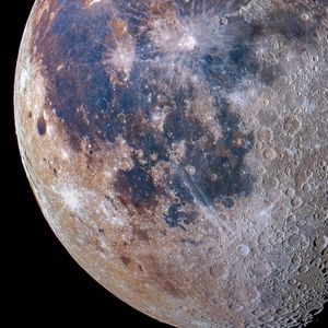 Meet your Posher, Jenny